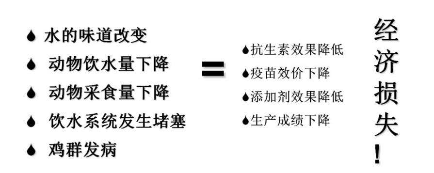 如何改善雞群飲水系統