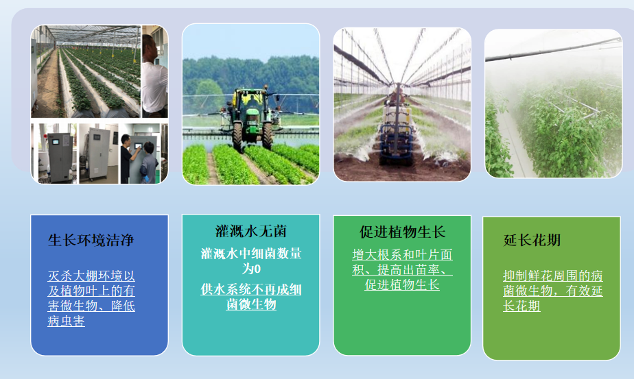 次氯酸發(fā)生器在花卉養(yǎng)殖方面可以實(shí)現(xiàn)的效果